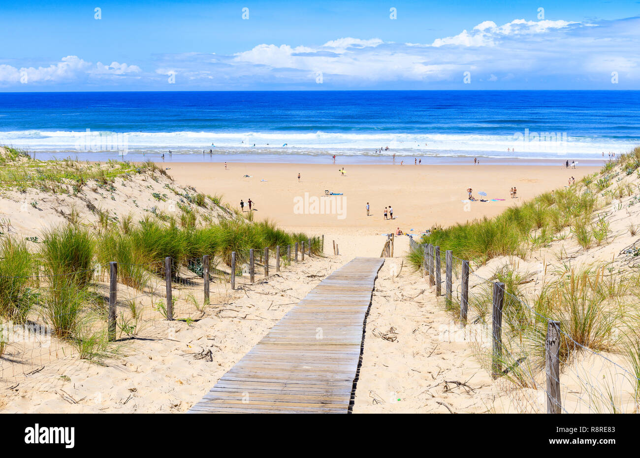 Truc Vert, Cap Ferret, France Stock Photo - Alamy