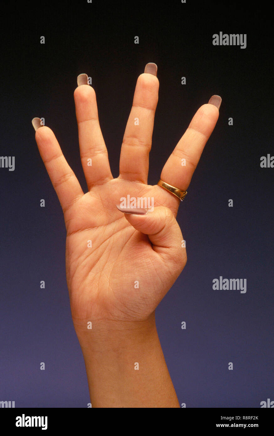 Hand showing four fingers Stock Photo Alamy
