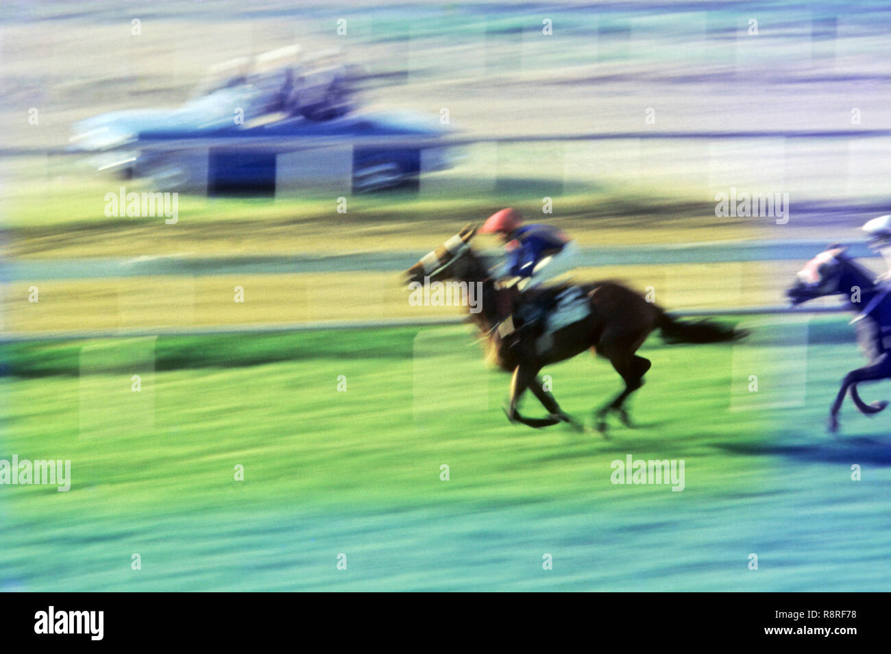 Horse Racing Betting Gambling High Resolution Stock Photography And Images Alamy