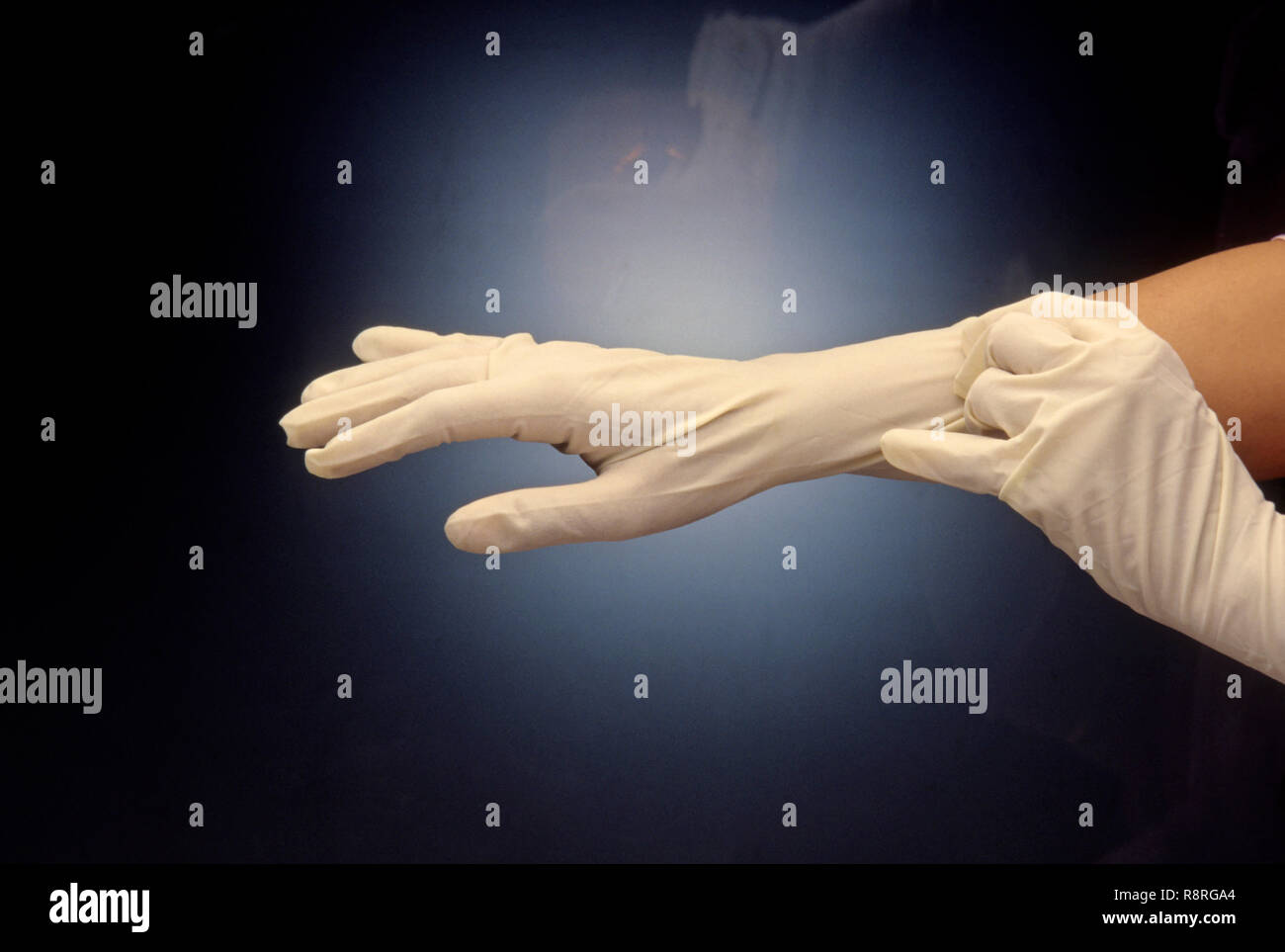 surgeons hands wearing rubber gloves Stock Photo