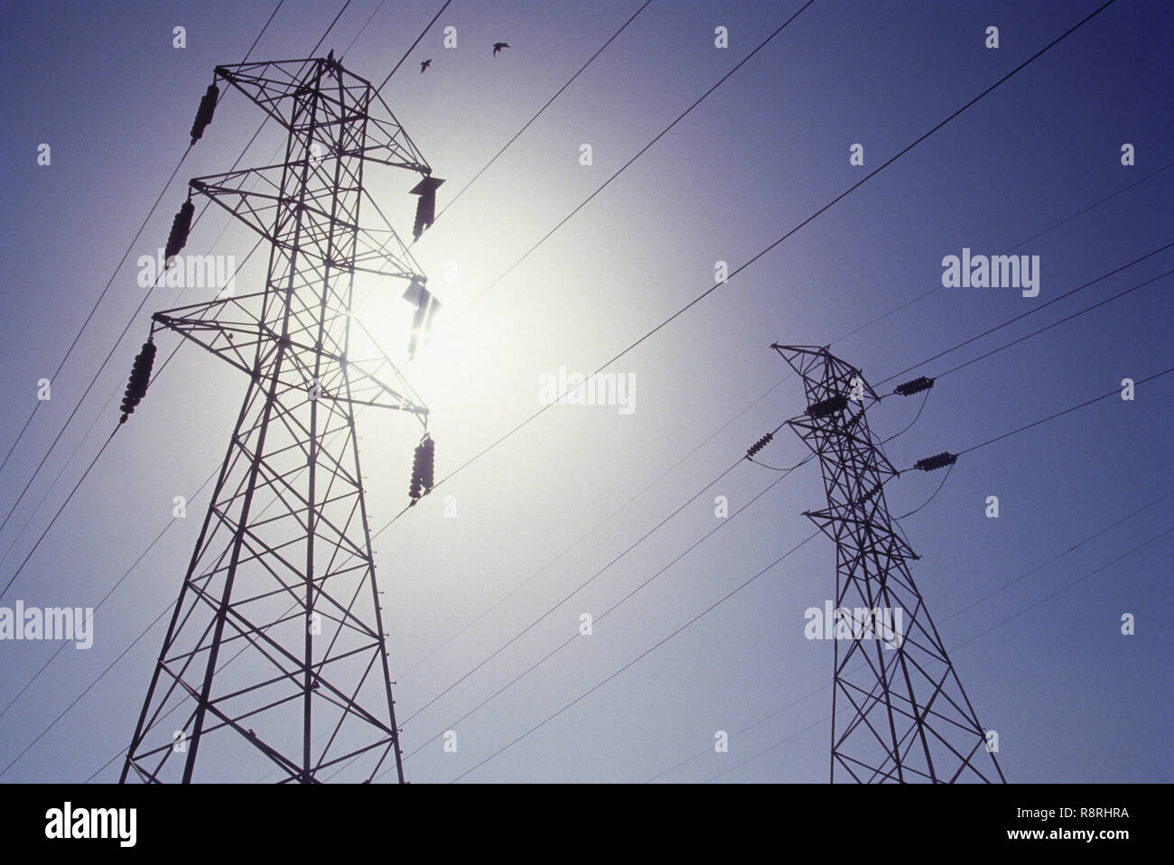 overhead power line, transmission lines, electrical power lines, electric power transmission, overhead lines, overhead wires, Bombay, Mumbai, Maharashtra, India, Asia Stock Photo