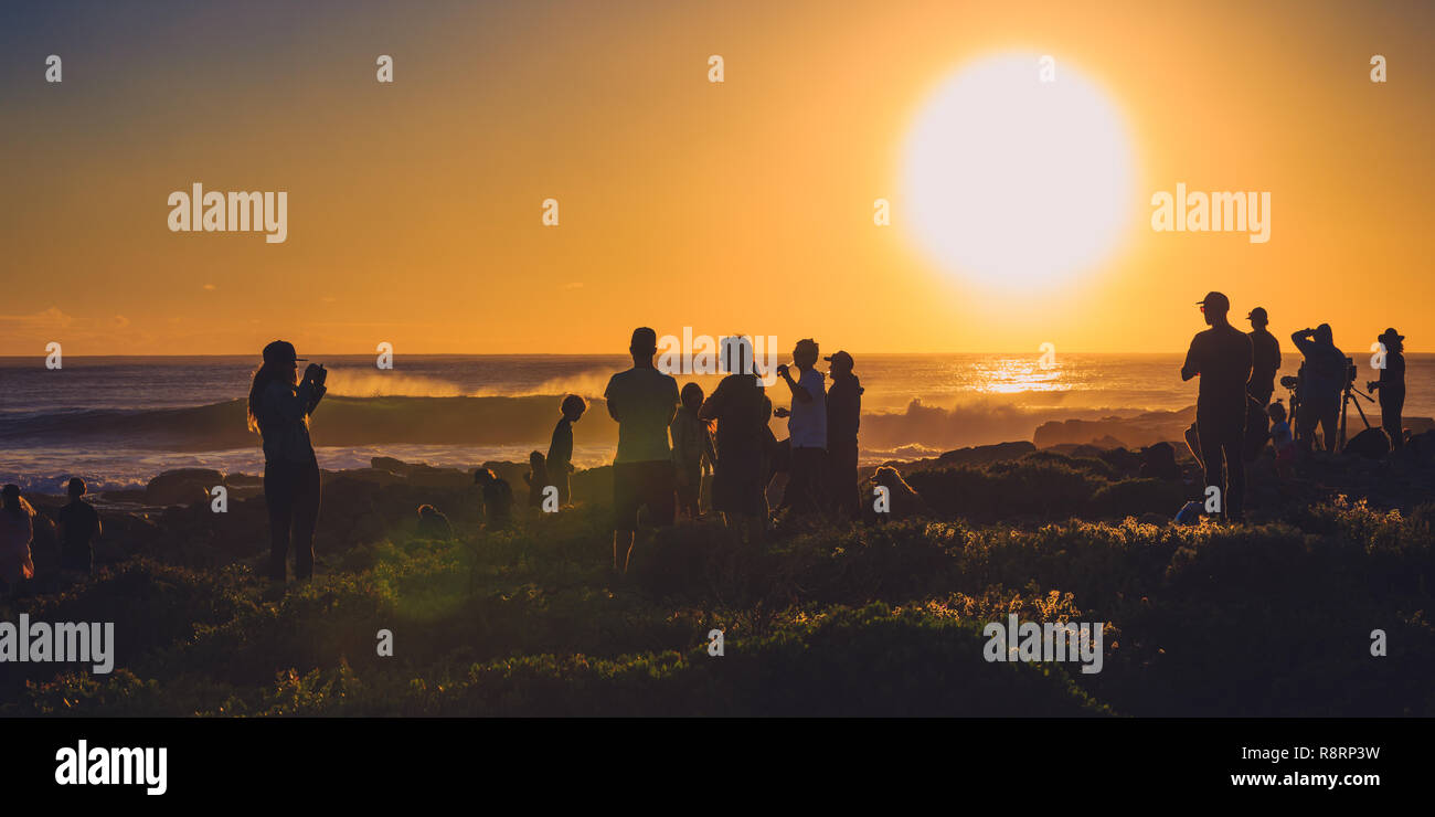 Beachlife Stock Photo