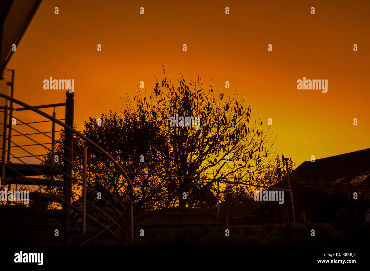 Tree in shadow Stock Photo - Alamy