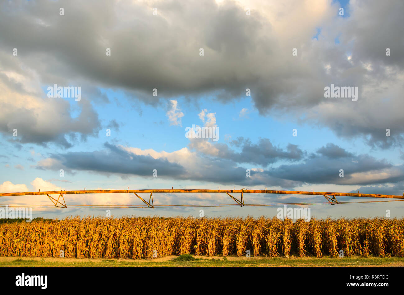 Corn irrigation usa hires stock photography and images Alamy