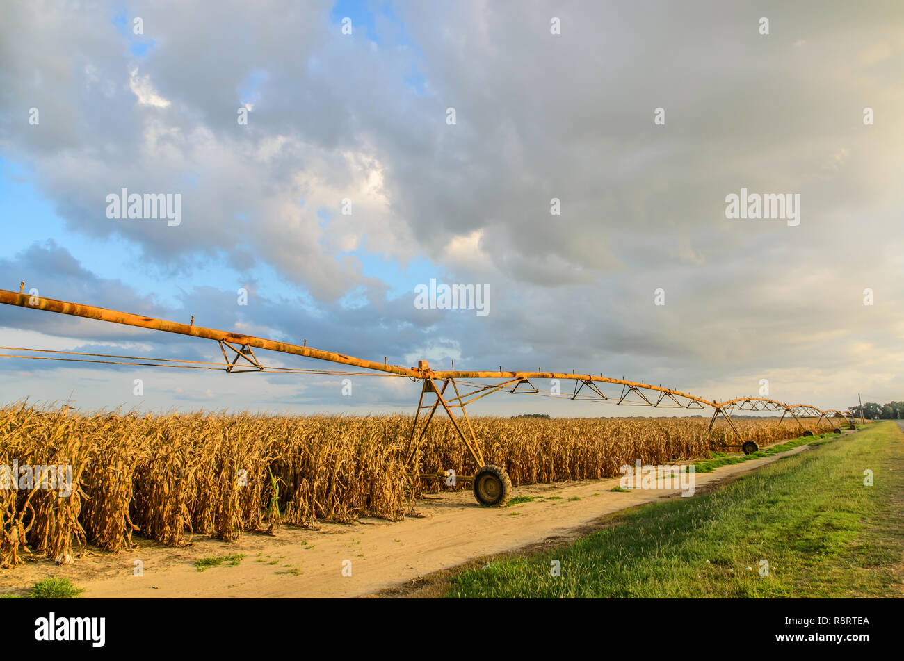 Spray irrigation hires stock photography and images Alamy