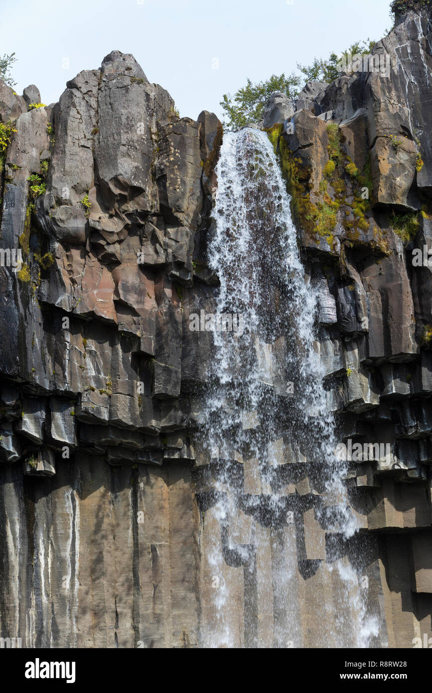 Wasserfall Svartifoss, 'schwarzer Wasserfall', Skaftafell-Nationalpark im Südosten Islands, Vatnajökull Nationalpark, Stórilækur stürzt über eine Fels Stock Photo