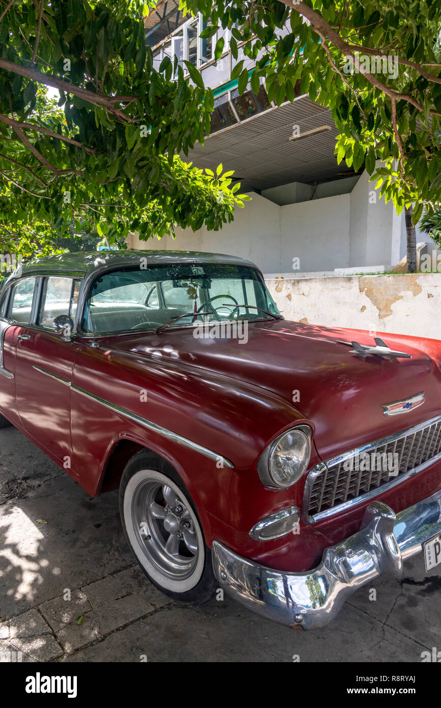 Old American car parked under a tree on Avenue Indepencia, Havana Cuba Stock Photo