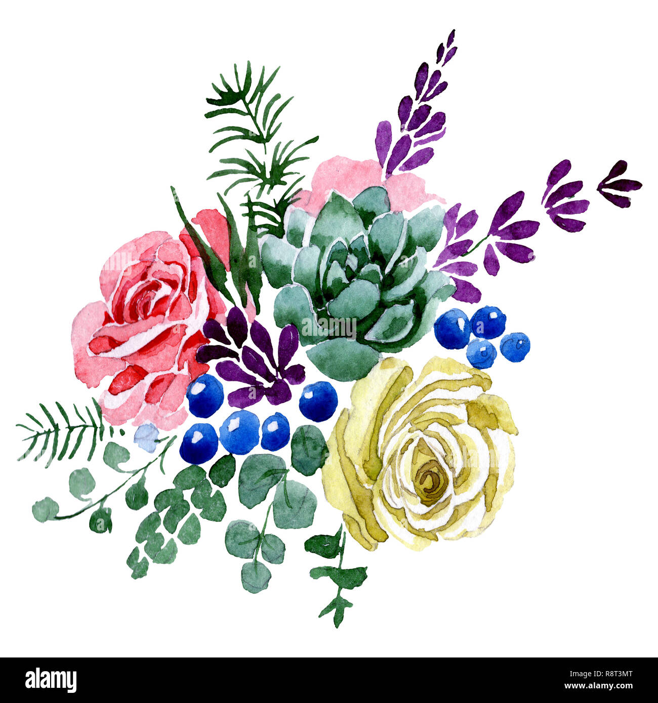 Download Succulent And Rose Bouquet Flowers Watercolor Background Illustration Set Isolated Bouquet Illustration Element Stock Photo Alamy