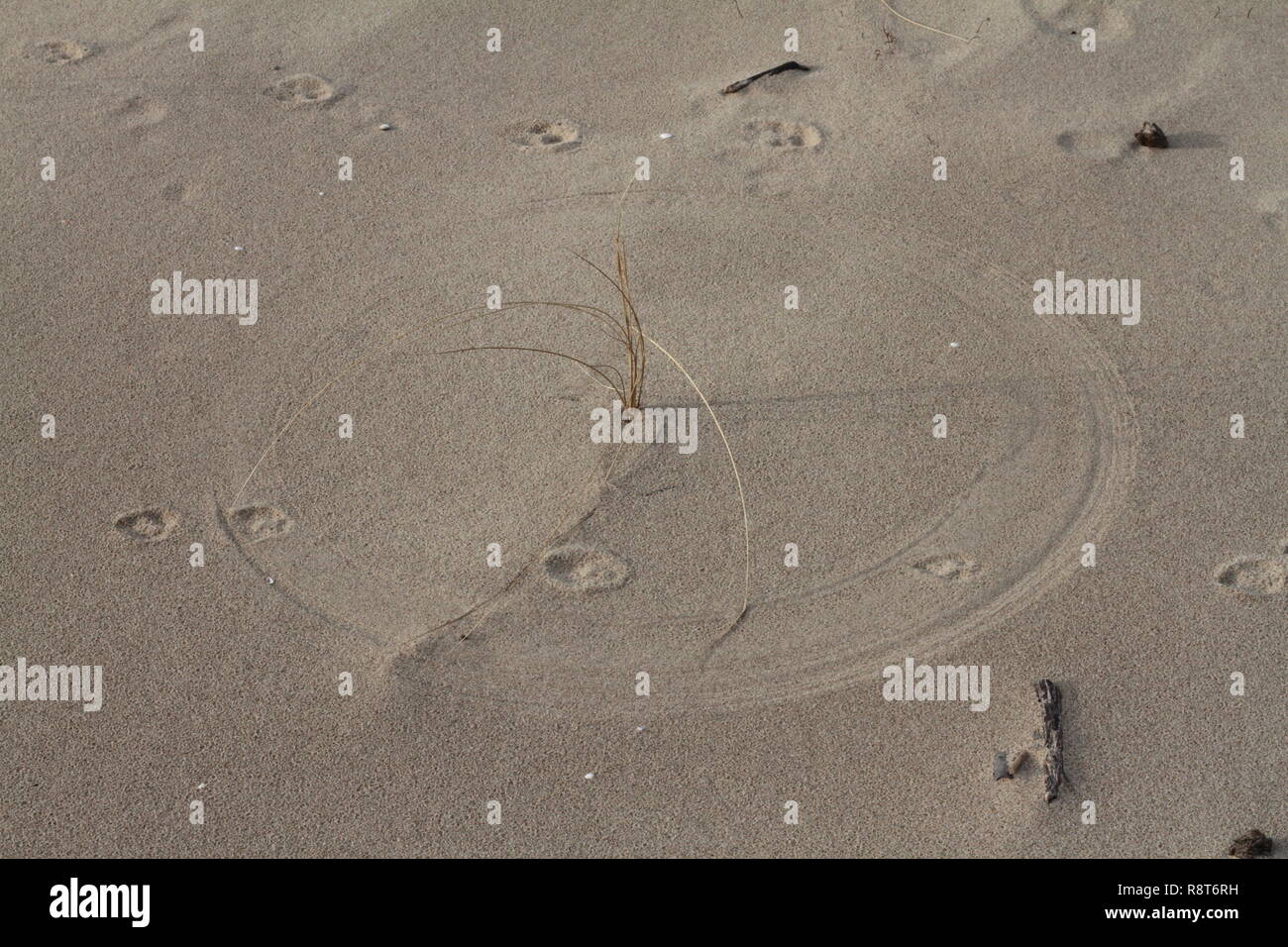 Round N' round Stock Photo - Alamy