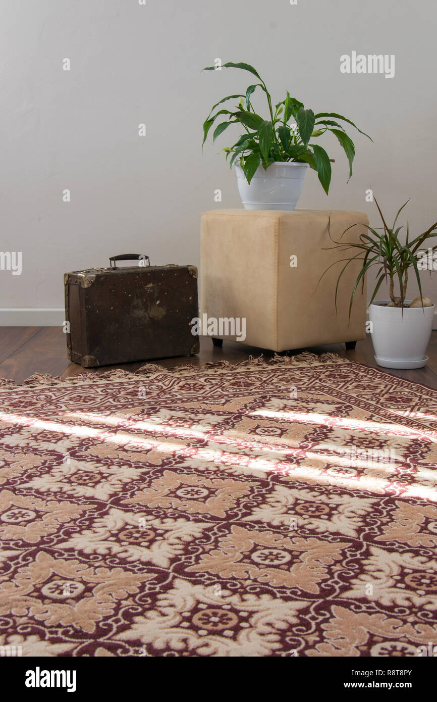 Stylish brightly part of living room with old vintage suitcase and  potted plants, traditional handmade carpet on luxury wooden floor, white wall with Stock Photo