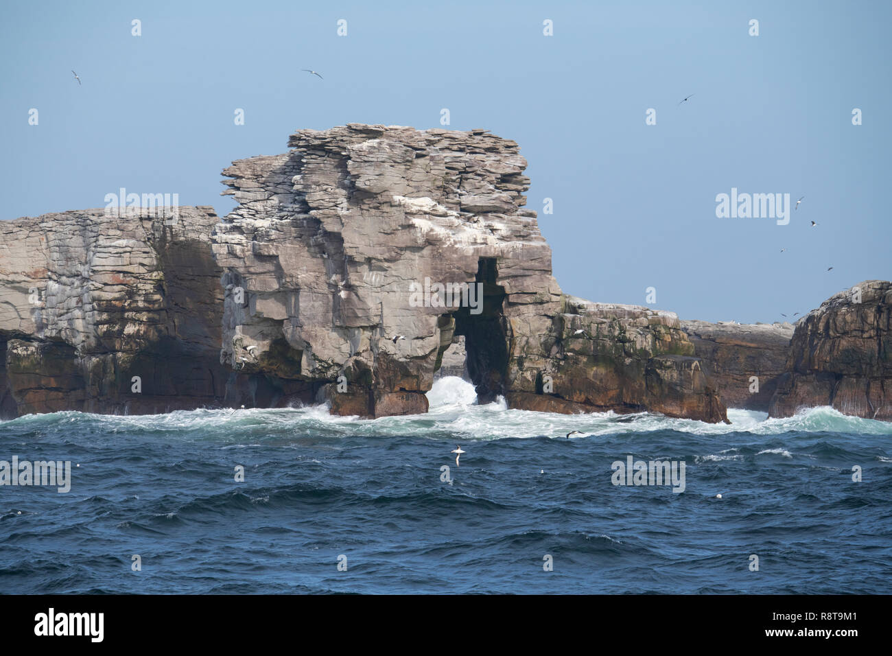 Falkland Islands, Beauchene Island. The southernmost island in the