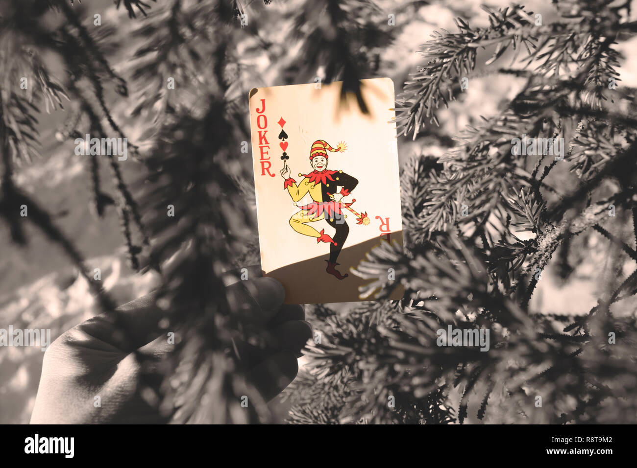 Joker Playing Card in Trees Stock Photo