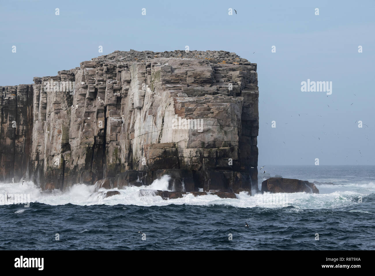 Falkland Islands, Beauchene Island. The southernmost island in the