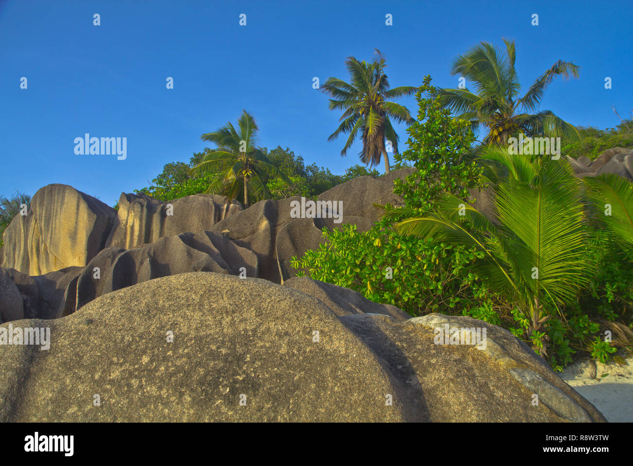 Anse Source d'Argent, La Digue-World-famous beach, and one of the most photographed spots in the whole world thanks to its amazing natural beauty Stock Photo