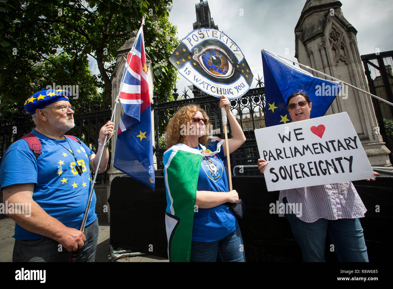 Brexit protesters demanding sovereignty for the United Kingdom outside Houses of Parliament, London, United Kingdom Stock Photo