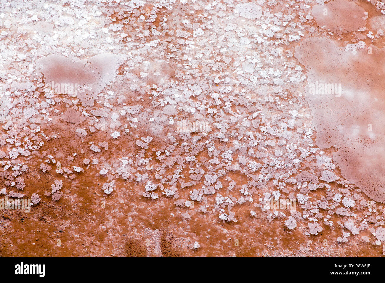 Close-up of salt crystals in the salt pools in Maras, Peru Stock Photo