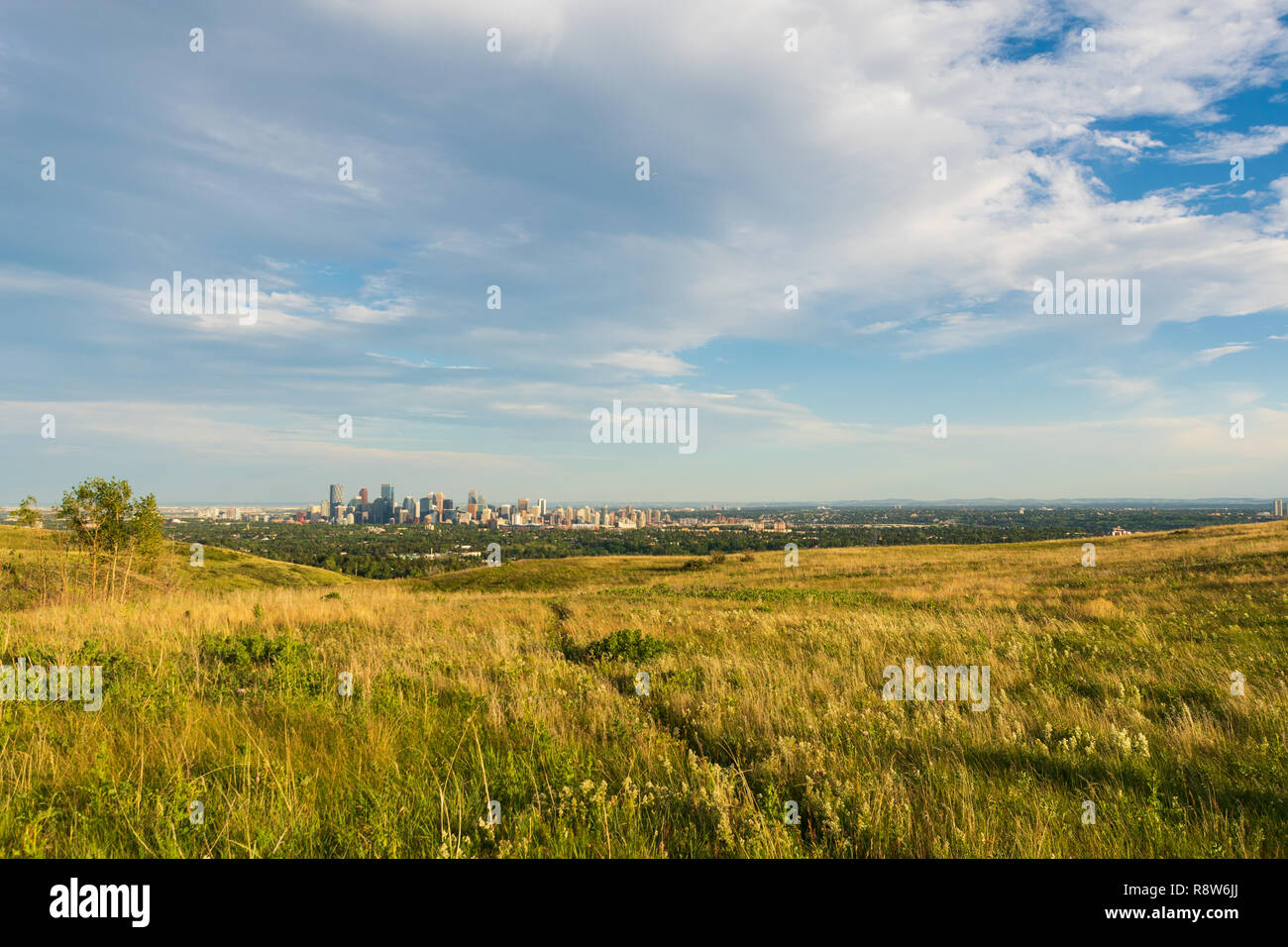 Calgary Skyline from Nose Hill Park Stock Photo