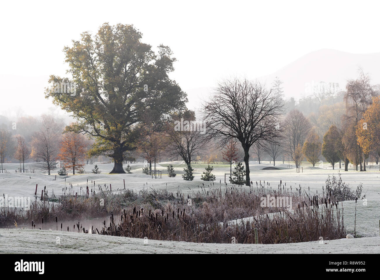 Photo of Cahir Golf course on a frosty winter morning in early morning sun. Cahir Golf Club, Cahir, Tipperary, Ireland Stock Photo