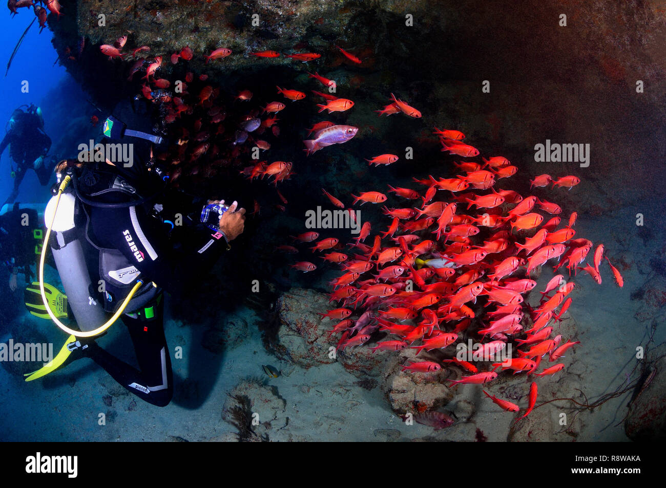 Shoal of Blotcheye Soldierfish in Tres Grottes in Sal - Cabo Verde Stock Photo