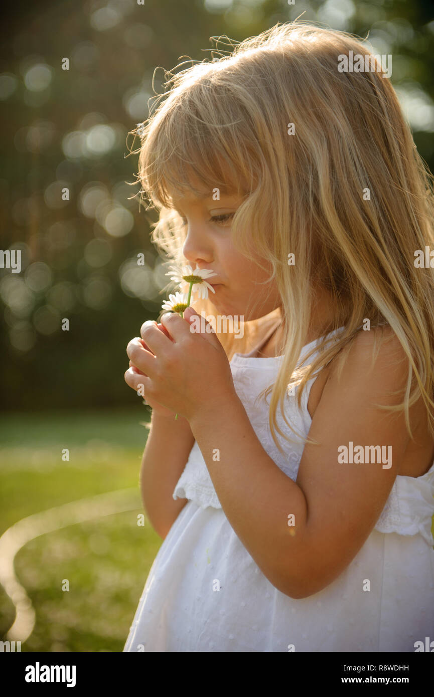 little girl in a flower field smelling a flower Stock Photo