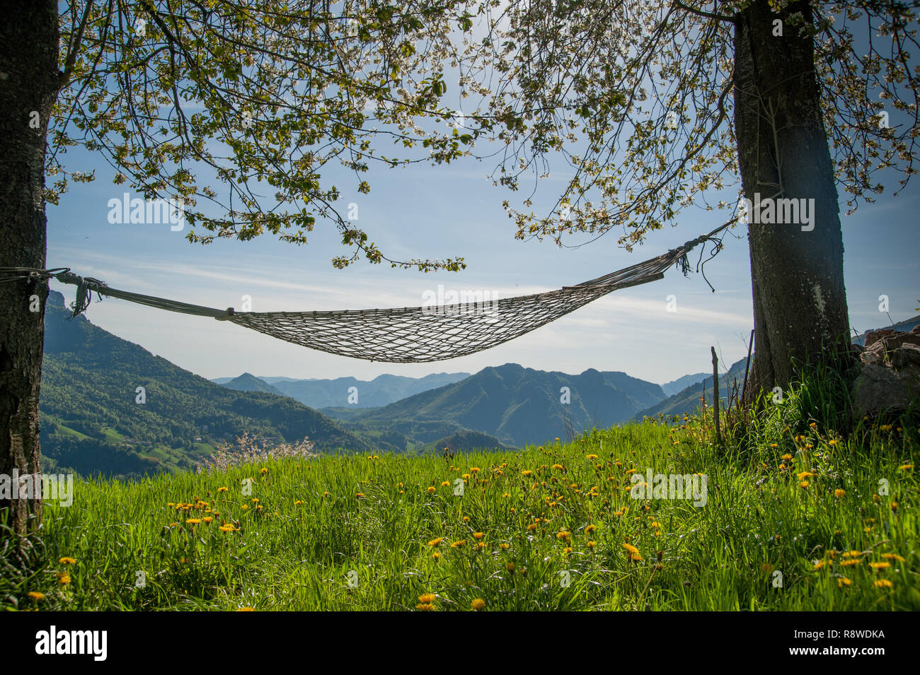 relax in comfortable hammock suspended between the trees Stock Photo