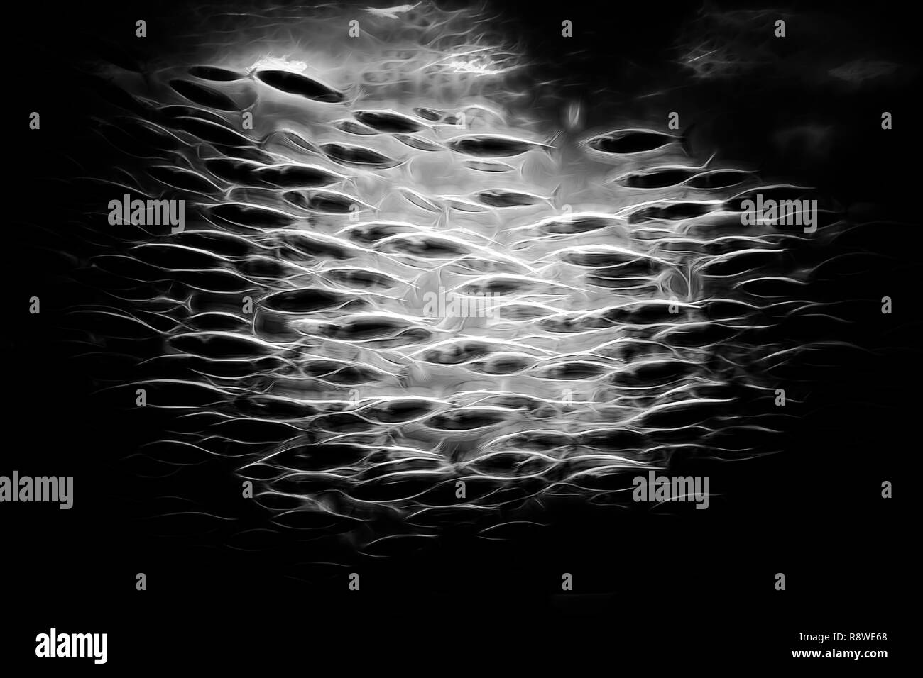 Digital abstract shoal of fish. Stock Photo