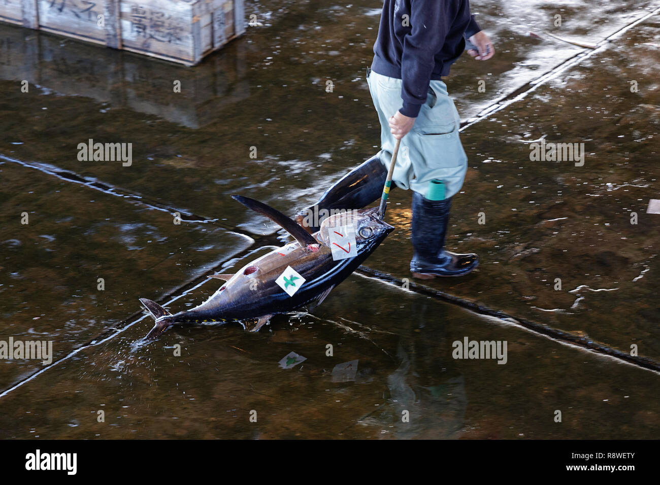 Japanese fishing industry hi-res stock photography and images - Alamy