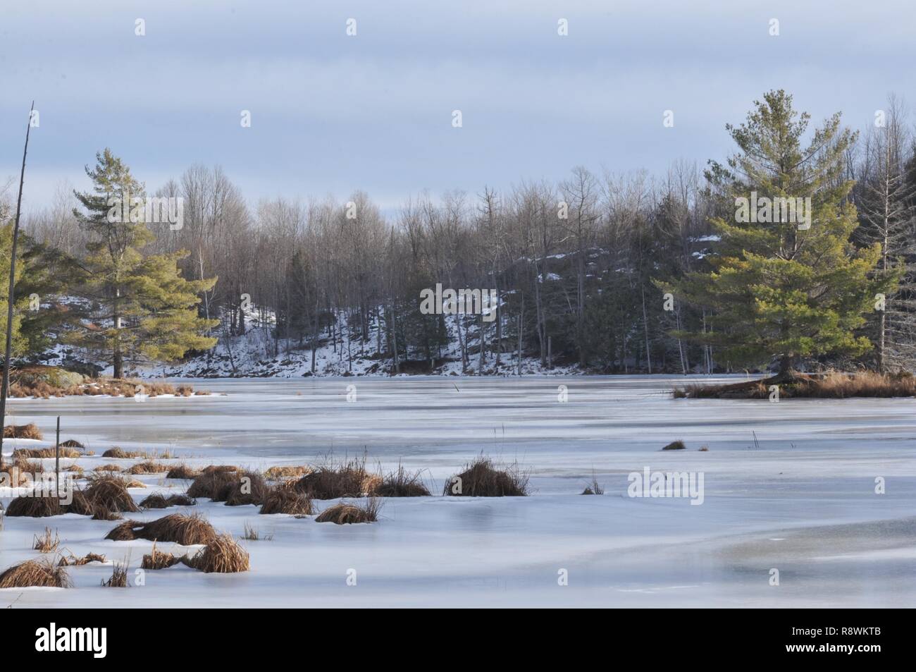 Best fall colors hi-res stock photography and images - Alamy