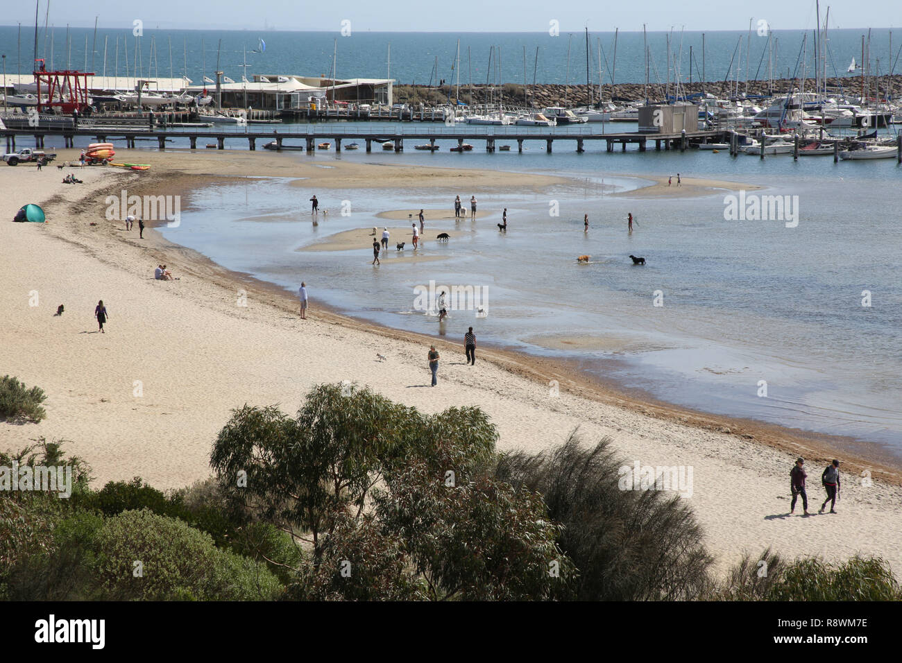 Dog friendly beach, Sandringham Harbour, Melbourne, Victoria, Australia Stock Photo