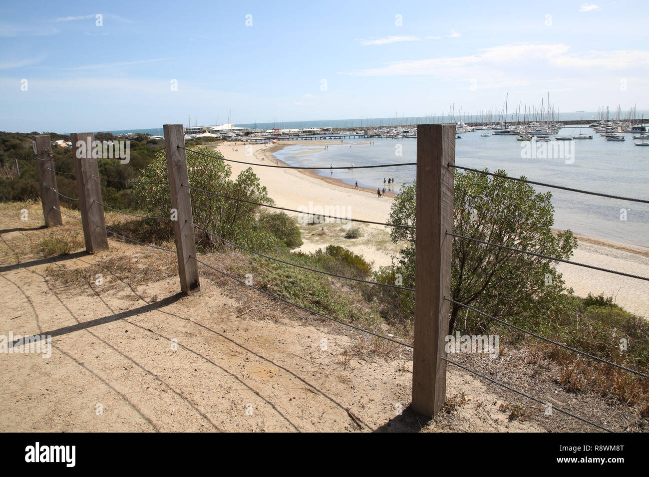 Is Melbourne Beach Dog Friendly