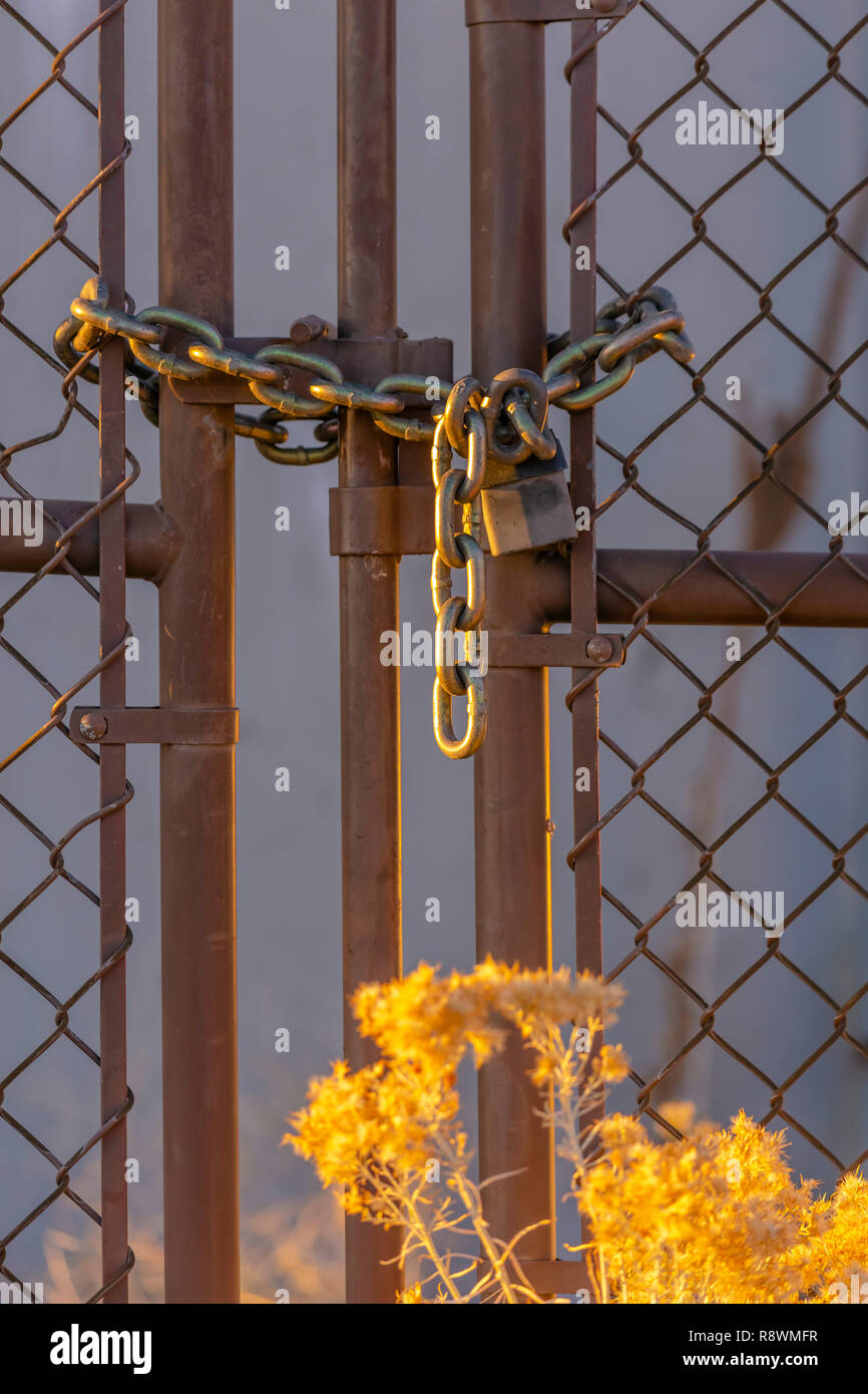 Chain link fence closed with padlock and bush Stock Photo Alamy
