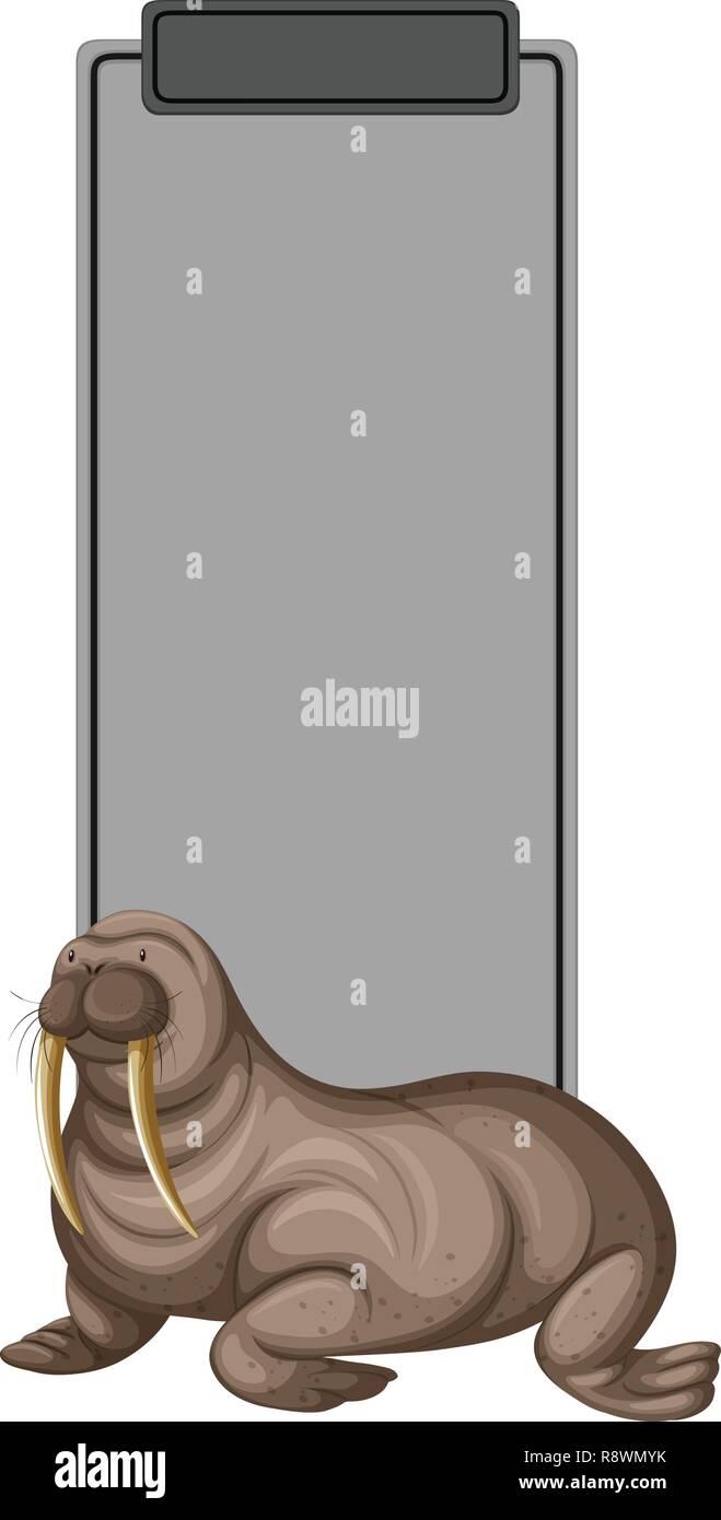 A walrus on grey border illustration Stock Vector