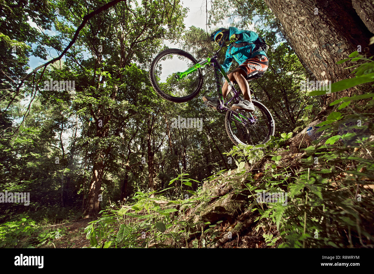 Moscow, Russia - August 18, 2017: Mountain bike cyclist doing wheelie stunt  on a mtb bike. Mountain Bike cyclist riding in forest. Biker riding extre  Stock Photo - Alamy