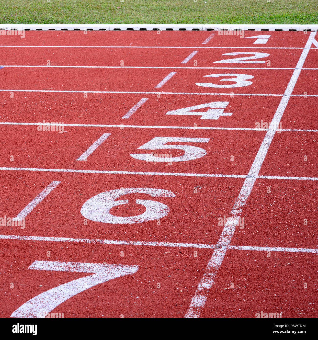 running-track-start-and-finish-line-stock-photo-alamy