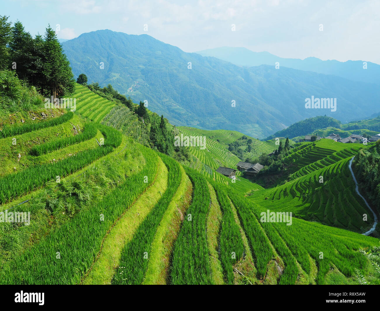 China rural scenery hi-res stock photography and images - Alamy