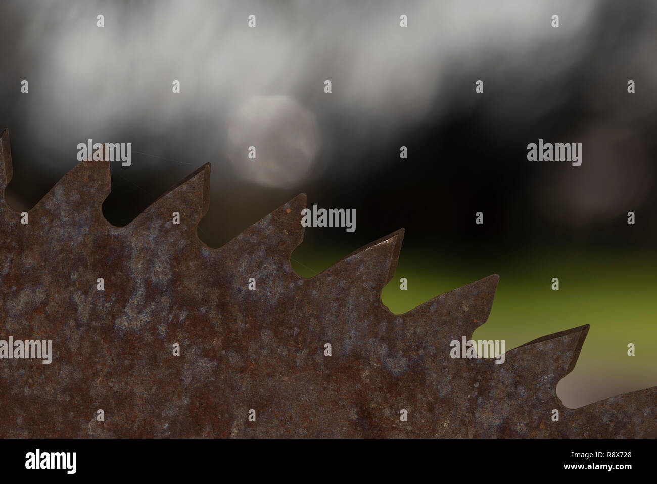 Large Circular Saw Blade Closeup of Teeth with Blurred Background