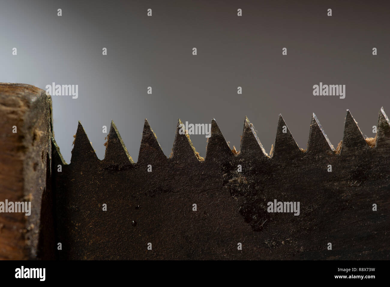 Pruning Saw, Teeth and Handle, Side View, Closeup Stock Photo Alamy