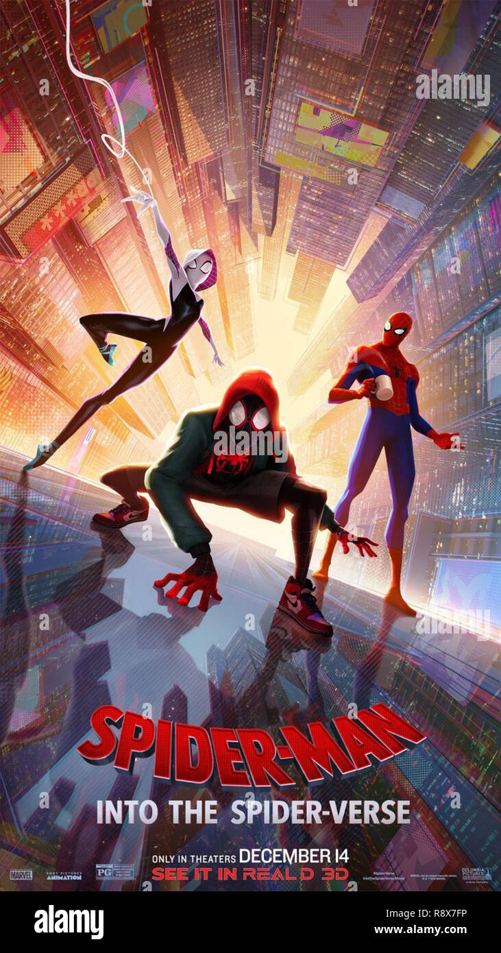 Spider-man Into the Spider-verse Movie Poster Glossy Quality Print Photo  Hailee Steinfeld Size 8x10 11x17 16x20 22x28 24x36 27x40 1 