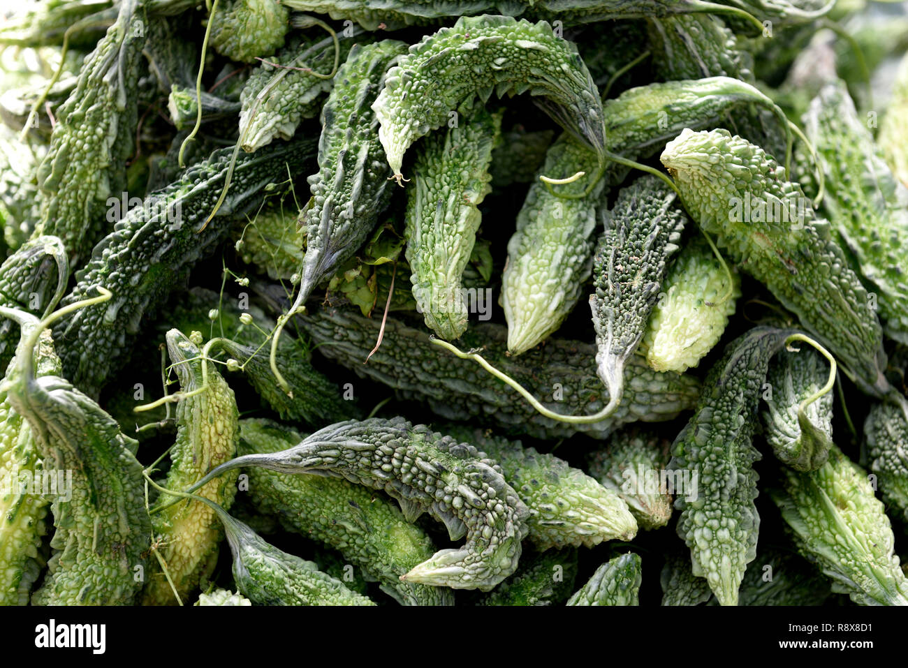 Organic Vegetables Kerala Stock Photos & Organic Vegetables Kerala