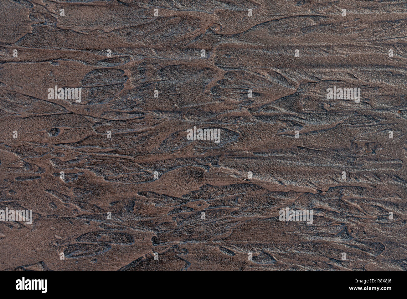 Textured Background Decorative Plaster Walls External Decoration