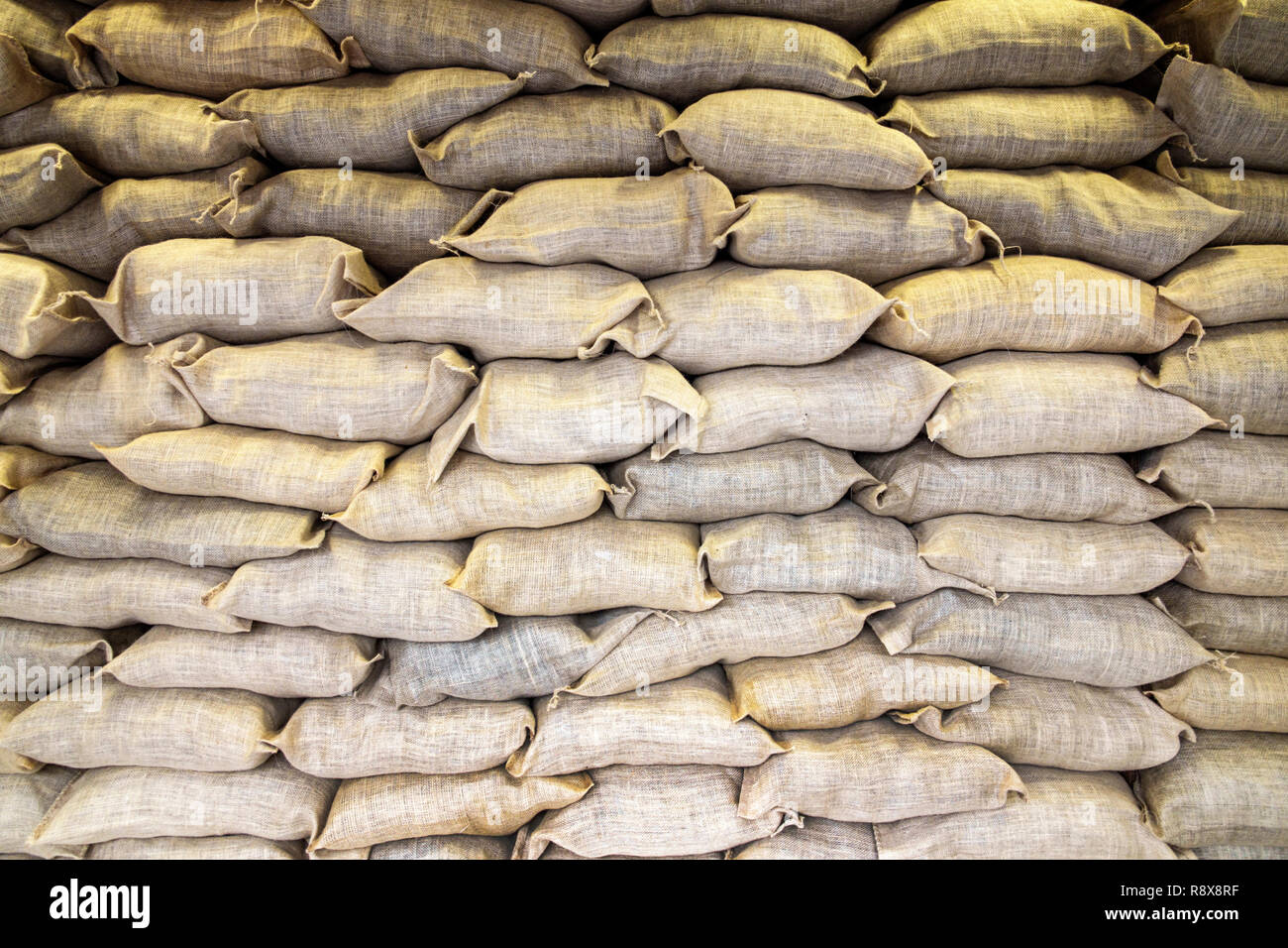 extra large backpacks for college