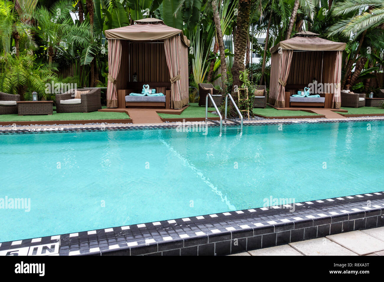 Miami Beach Florida,Collins Avenue,National,hotel,swimming lap pool area cabanas,FL181205128 Stock Photo