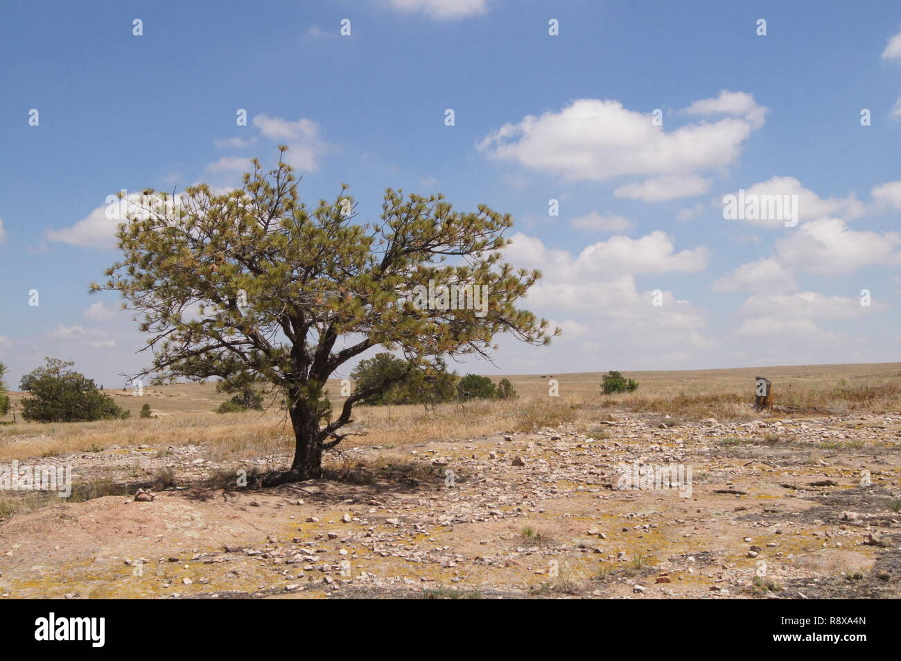 Castlewood Canyon State Park Stock Photo Alamy
