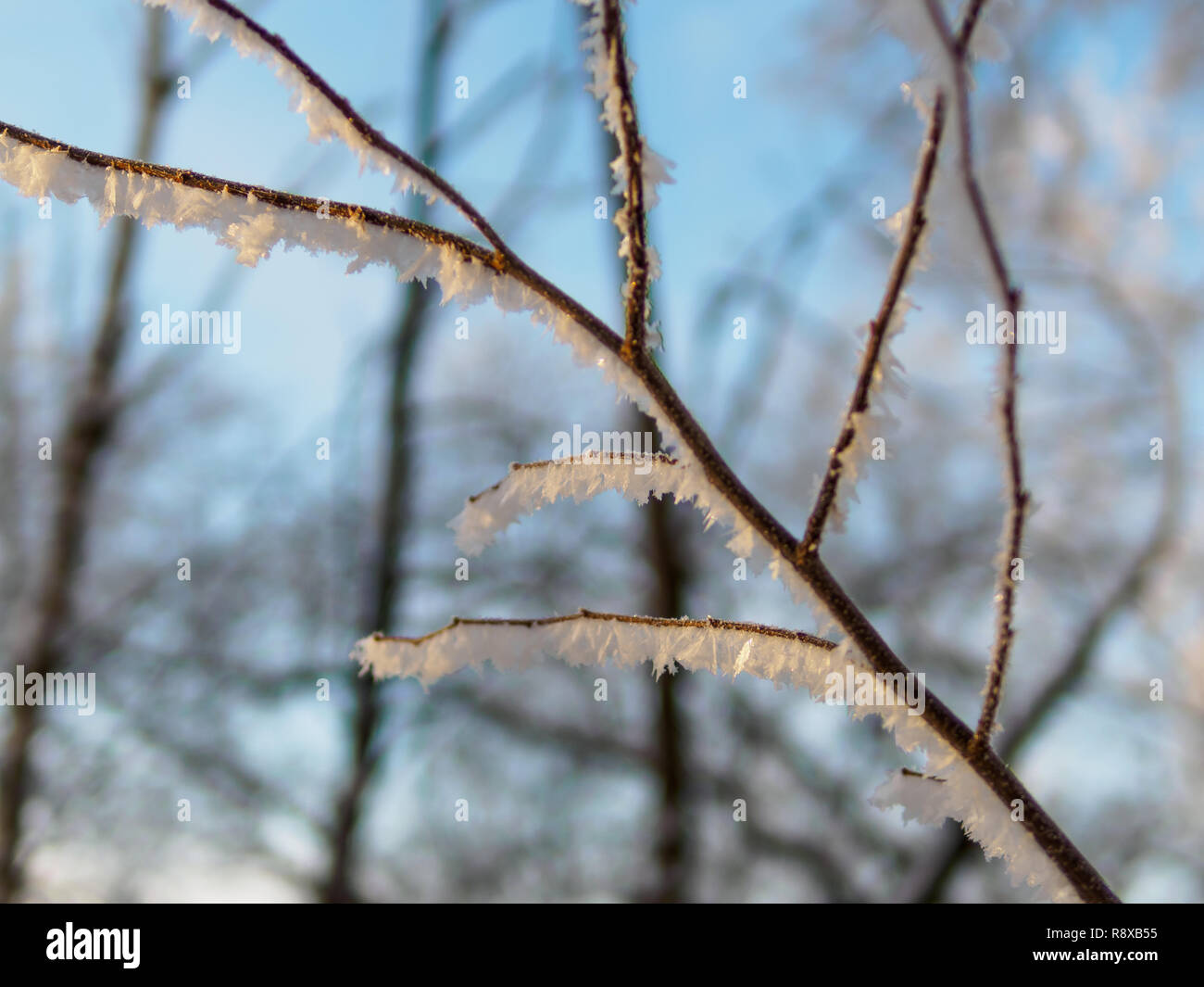 Amazing snowflake hi-res stock photography and images - Page 11