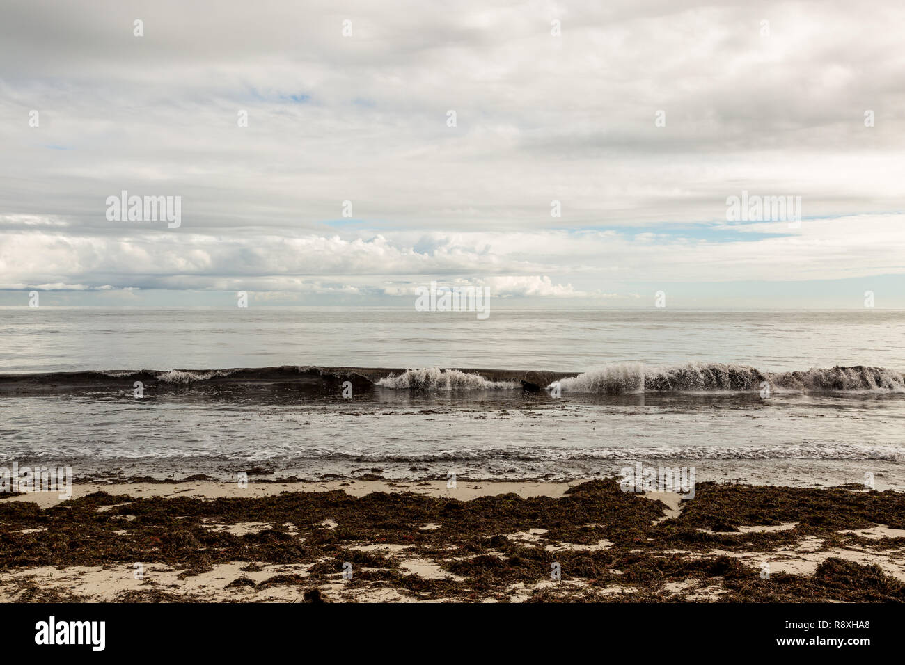 Seaweed covered beach with one wave and heavy cloud cover Stock Photo