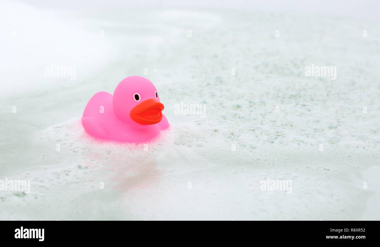 Pink duck in a bathtub, surrounded by soap Stock Photo - Alamy
