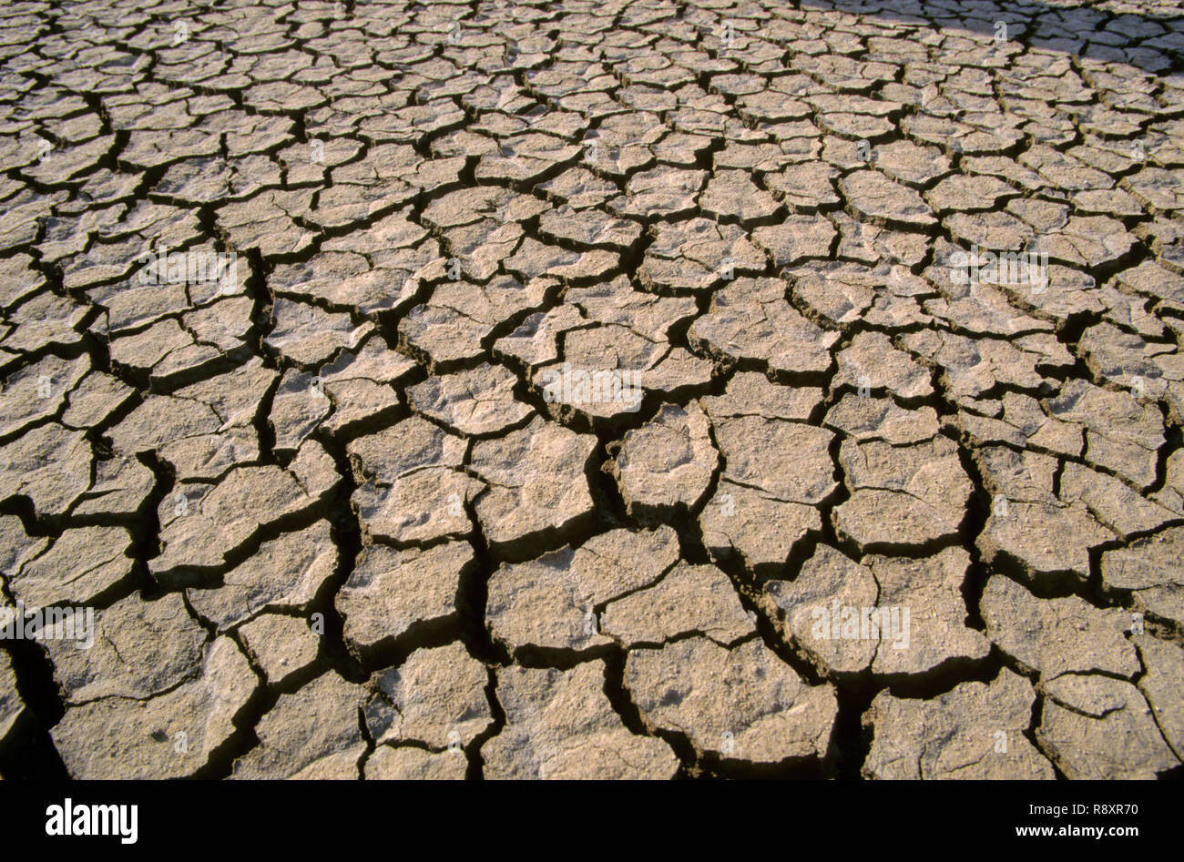 Smashed Earth Barred earth hi-res stock photography and images - Alamy