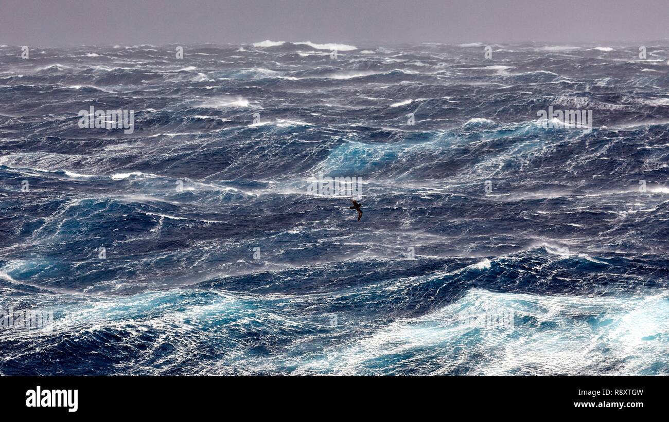 Beaufort scale hires stock photography and images Alamy