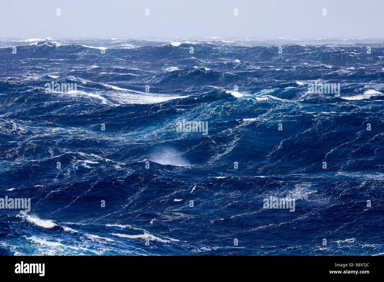 France, Indian Ocean, French Southern and Antarctic Lands, violent storm, Beaufort scale 10 gusting to 11 in the roaring forties, picture taken aboard the Marion Dufresne (supply ship of French Southern and Antarctic Territories) underway from Crozet Islands to Kerguelen Islands Stock Photo