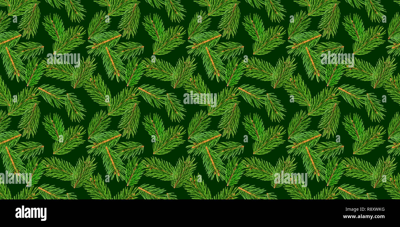 Fir tree branches seamless pattern, pine branch, Christmas conifer isolated on green background Stock Photo